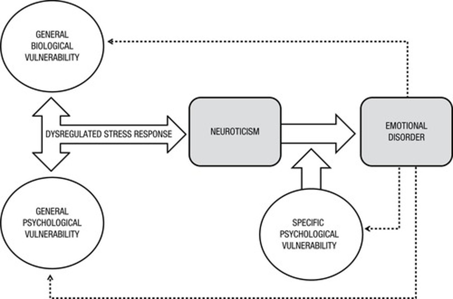 <p>It suggests that genetic and environmental factors interact to influence the development and expression of neuroticism.</p>