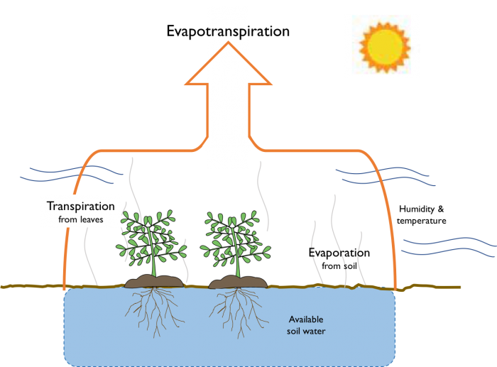 <p><span>Evaporation + transpiration from land surfaces.</span></p>