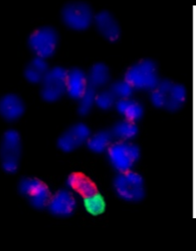 <p>bespreek wat we hier zien</p>