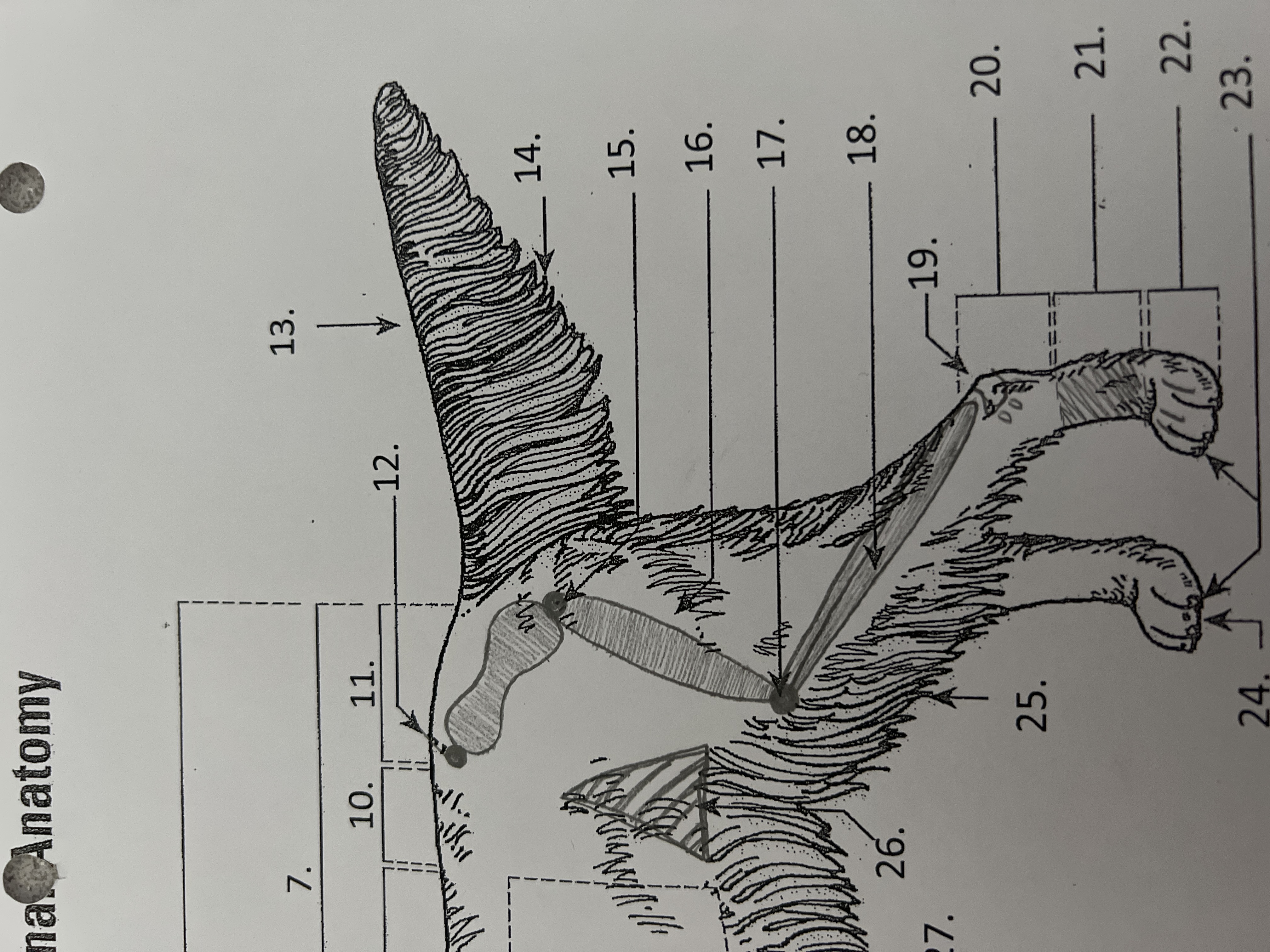 
15. \
