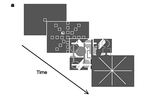 <p>measures how wide/ broad someone can make their attention field; presents 8 intersecting spokes with a target on it; researchers manipulate demand by altering the degree the target is from the centre of the visual field</p>