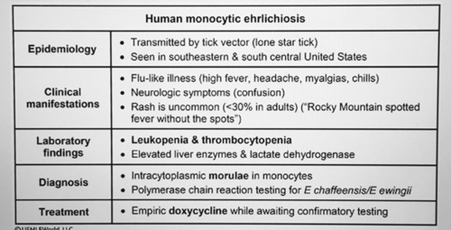 <p>Obligate intracellular pathogens of host phagocytes</p><p>bruising and petechiae</p><p>-Cytoplasmic inclusions</p><p>- leuko and thrombocytopenia</p><p>Ehrlichia chaffeensis causes human monocytic ehrlichiosis (HME)</p>