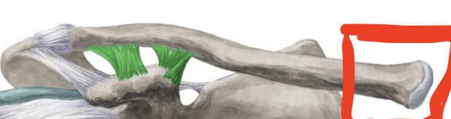 <p>Landmark Name:</p>