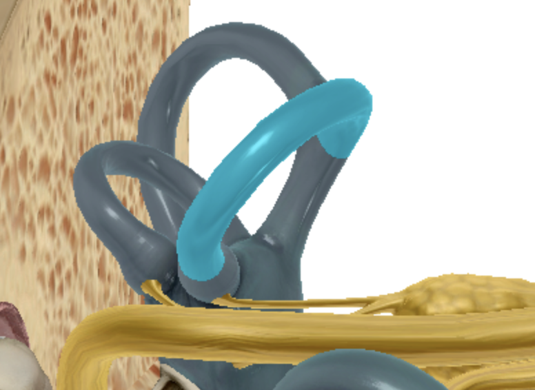 <p>what is highlighted </p>