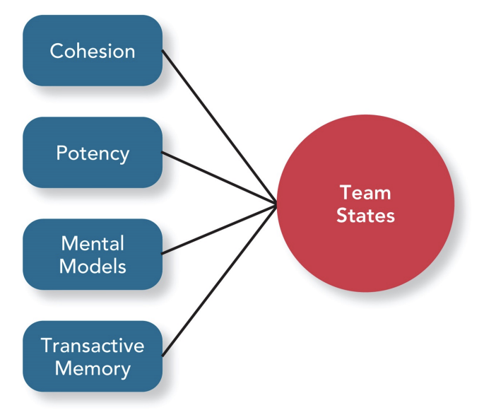 <p>specific types of feelings and thoughts that coalesce in the minds of team members because of their experience working together</p><p></p><ul><li><p>cohesion Possible negative outcome: groupthink</p></li><li><p>potency (high if they are confident they can be effective across a variety of situations, can be too high)</p></li><li><p>mental models (level of common understanding among team members about how to resolve conflict etc)</p></li><li><p>transactive memory (meta knowledge and specialized knowledge)</p></li></ul><p></p><p></p>