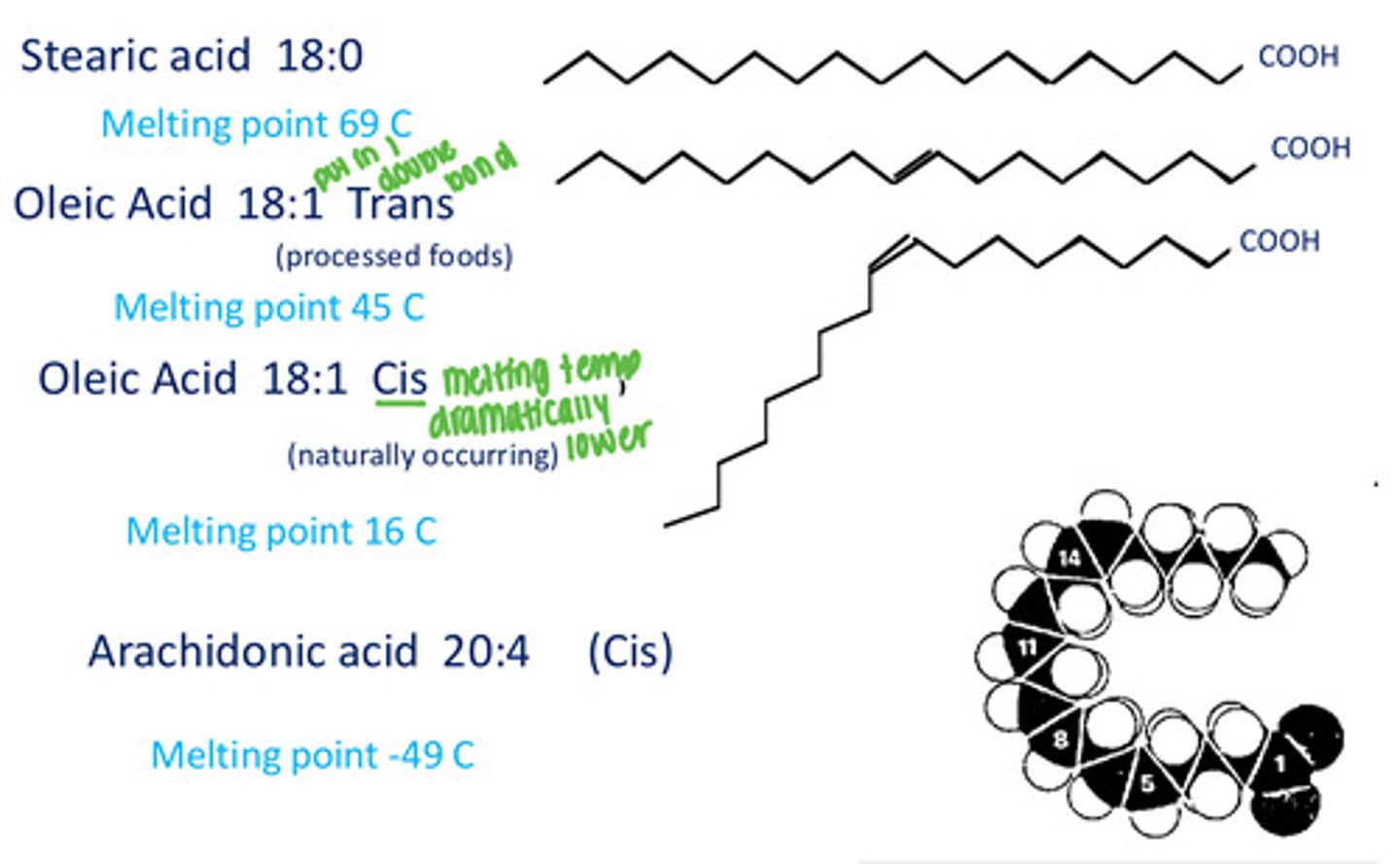 <p>Cis: lower melting point than trans</p>