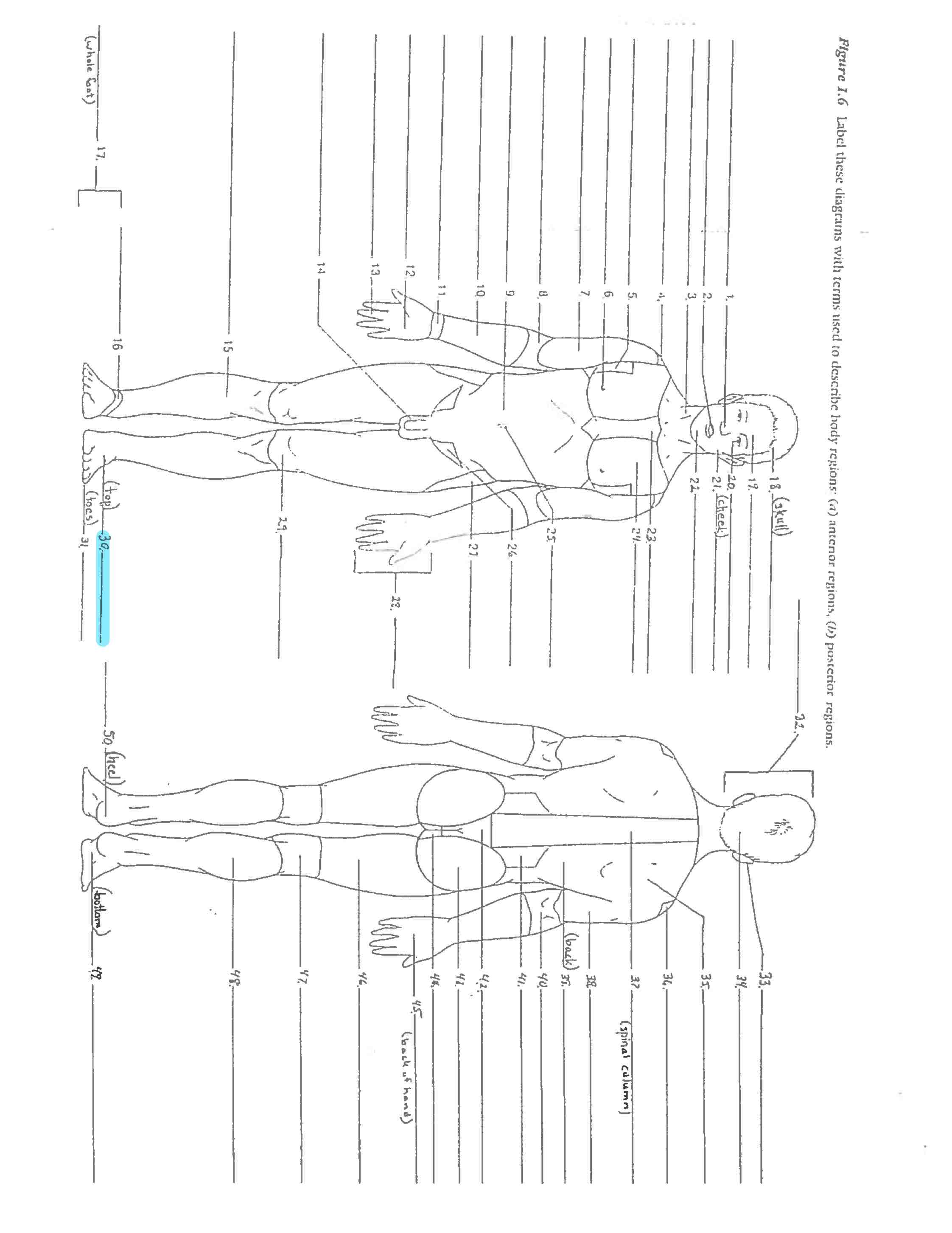 <p>Line 30</p>