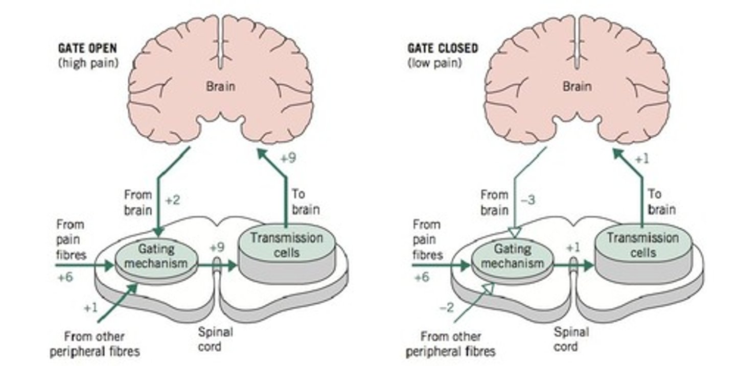 <p>It involves visualizing oneself in self-critical situations to evoke emotional responses and promote self-soothing.</p>