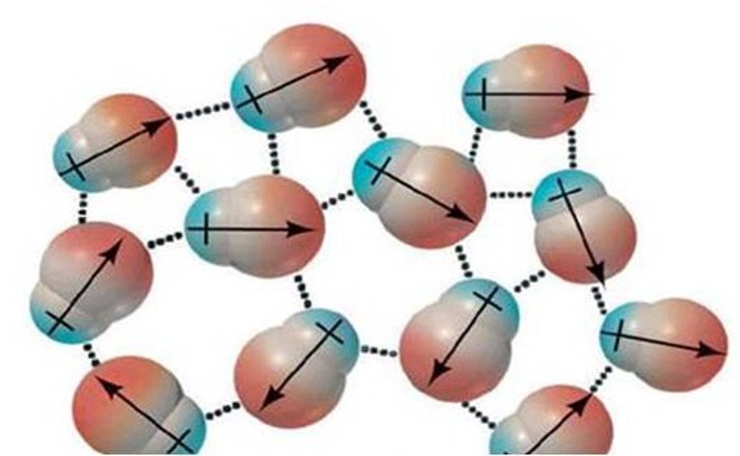 <p>Intermolecular force between polar molecules</p><p>Heavier Molecules = More Polarizable=Stronger Forces</p>