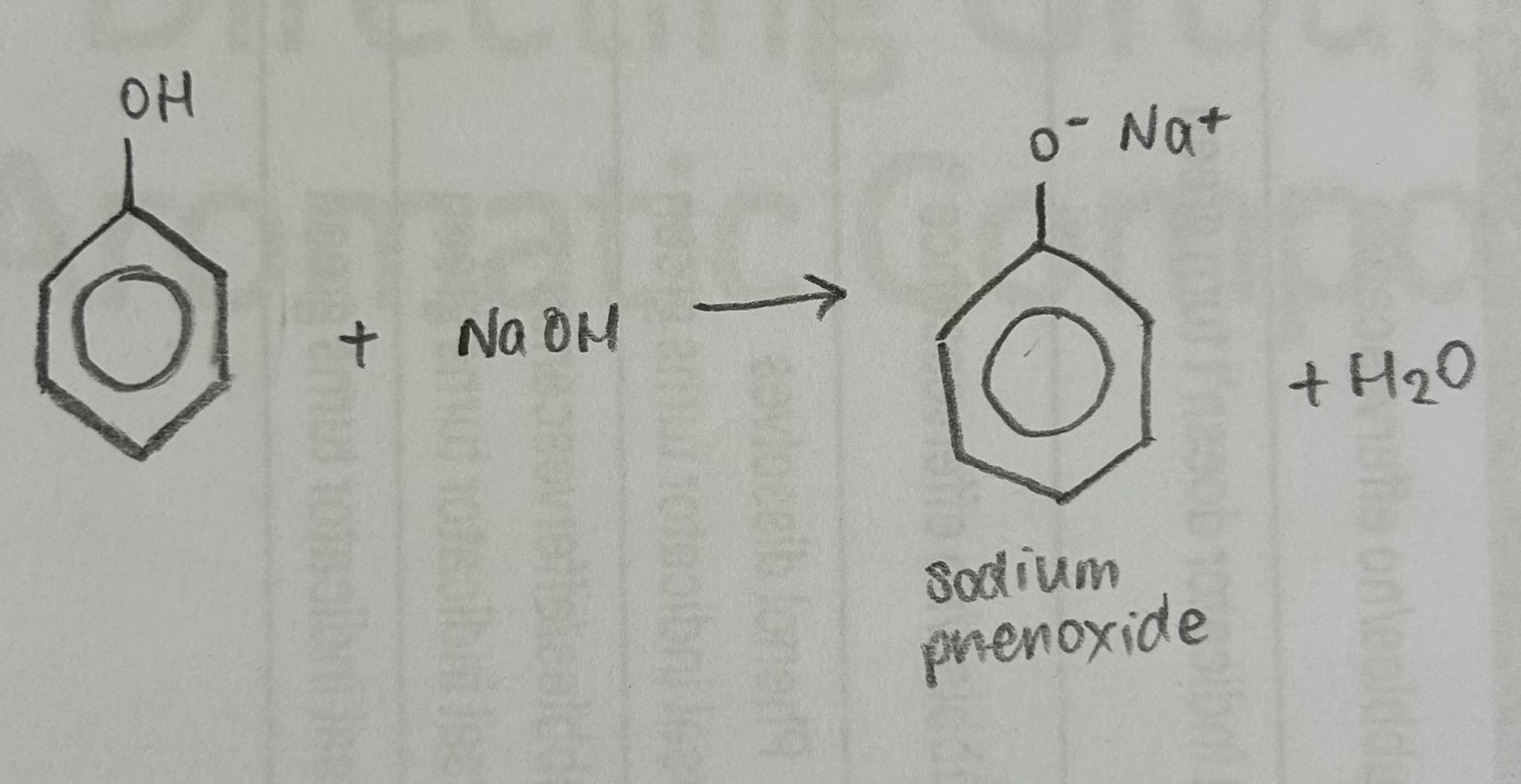 <ul><li><p>Phenol completely dissolves</p></li></ul><p>Phenols can react with strong bases such as sodium hydroxide to form a soluble salt in water. As a result, phenol dissolving in sodium hydroxide is observed, and universal indicator can be used to evidence neutralisation reaction took place (indicator turns green)</p><ul><li><p>(phenol is a weak acid so cannot react with weak bases such as sodium carbonate or calcium carbonate)</p></li></ul><p></p>
