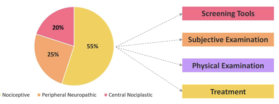 <p><span>Should drive ALL clinical decisions, tests and interventions</span></p>