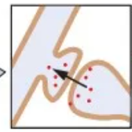 <p>Axon terminal of neuron synapses on dendritic spine of another</p>