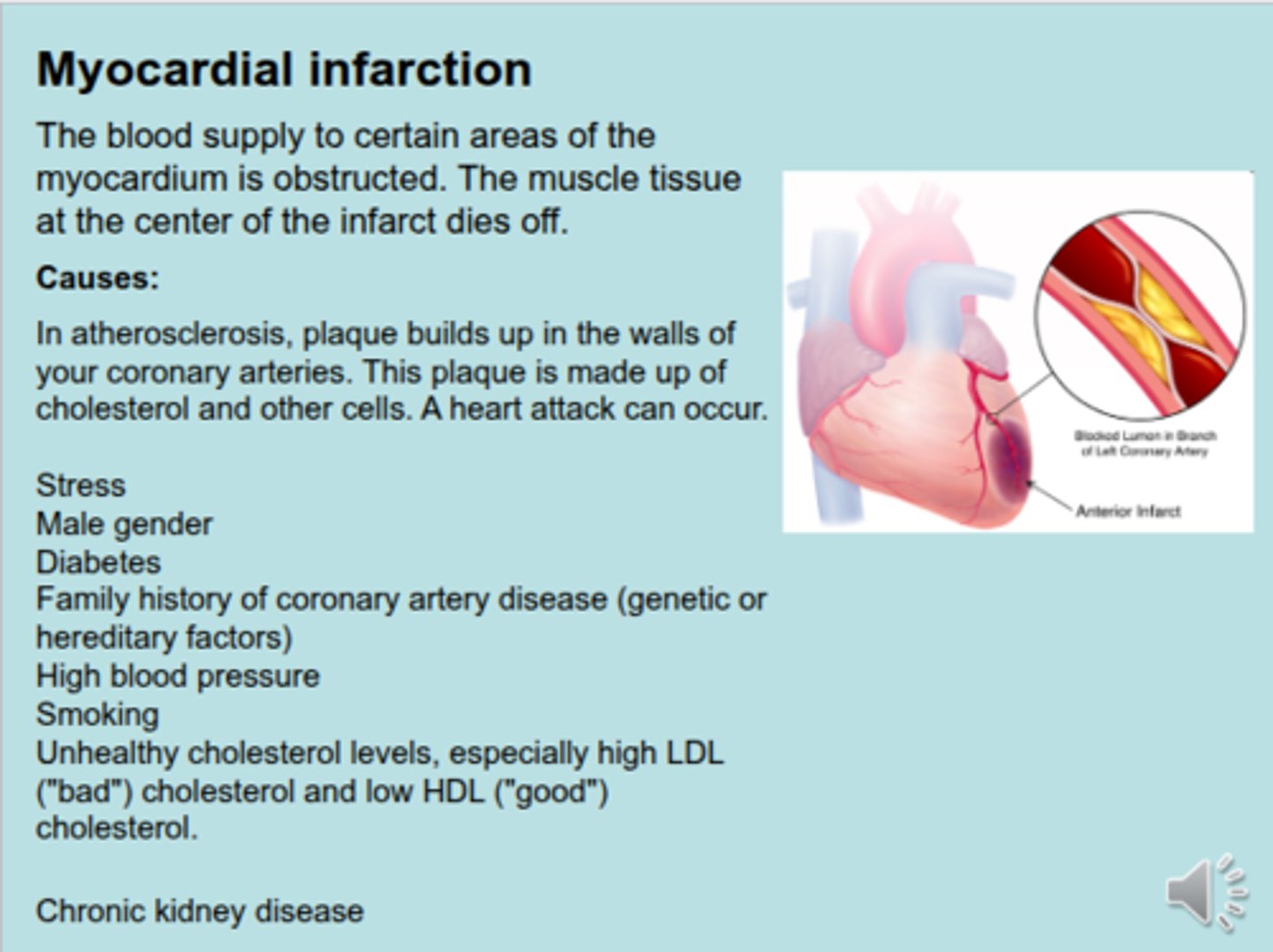 <p>atherosclerosis in cornonary arteries</p><p>-</p><p>genetics</p><p>-</p><p>hypercalcemia</p><p>-</p><p>hyperlipidemia</p><p>-</p><p>stress (causes abnormal vasoconstriction)</p><p>-</p><p>chronic kidney disease (T1 Diabetes in long term, the excess sugar destroys the renal artery and the structure of the nephron. This affects the filtration and systemic circulation)</p><p>-</p><p>polysistic kidney disease (having multiple cysts in the kidneys; affect filtration)</p>