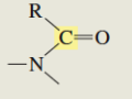 <p>What is the C13 chemical shift for an amide?</p>