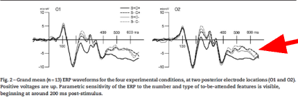 <p>the amplitude of the measured ERP (P3b) varied depending on how similar distractors were to the target → when distractors were more similar, there is a larger amplitude around 400ms after stimulus onset </p><ul><li><p>this implies increased allocation of attention to the distractor</p></li></ul><p></p>