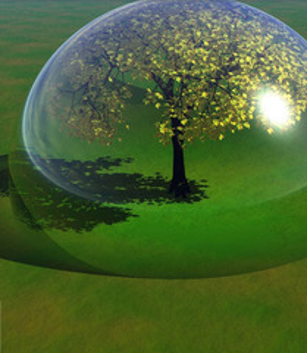 <p>A sustainable agriculture method where farmers produce crops or raise livestock without synthetic chemicals but rather focus on natural processes, soil health, and biodiversity.</p>