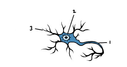 <p>Label the image</p>