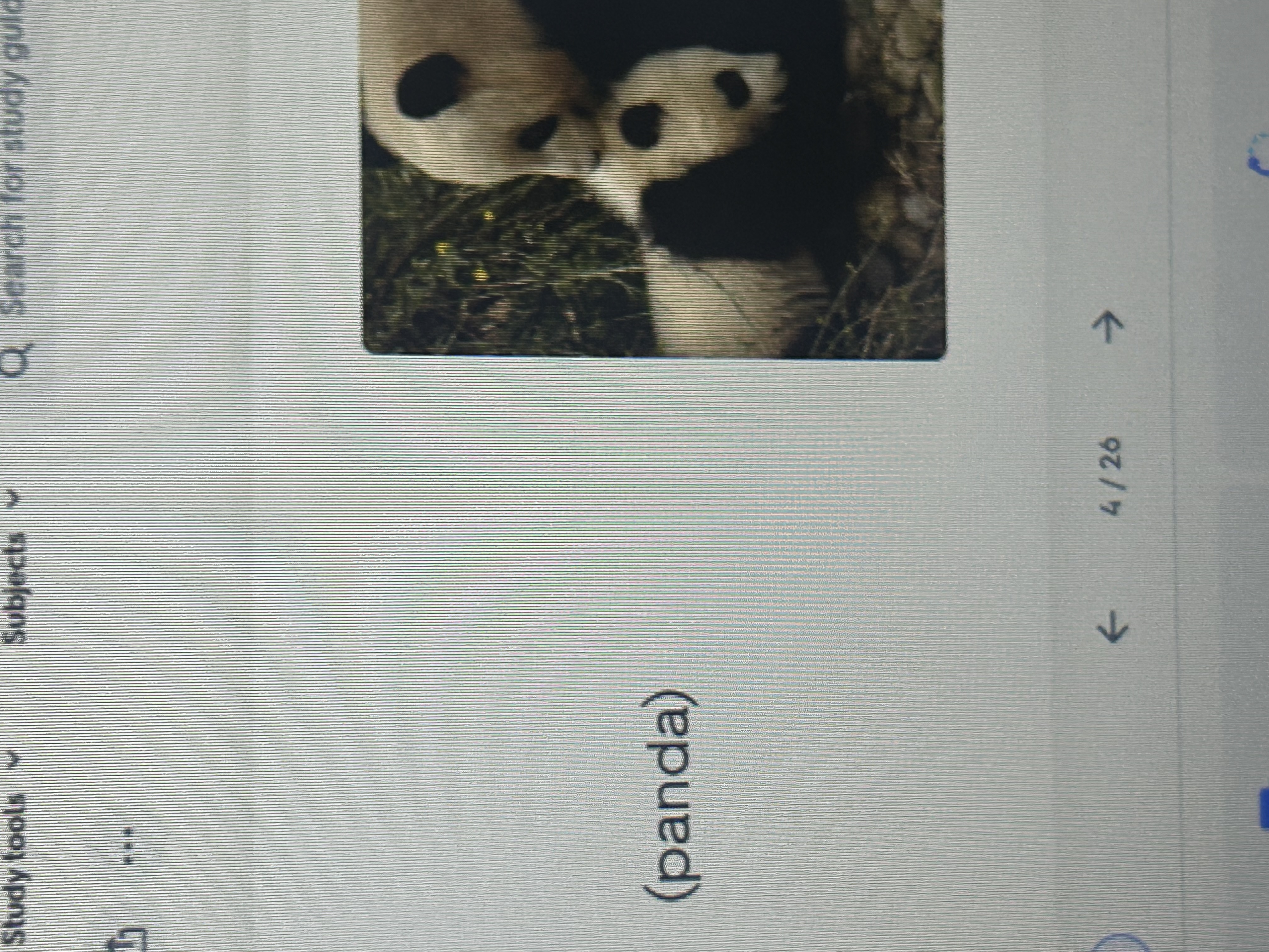 knowt flashcard image