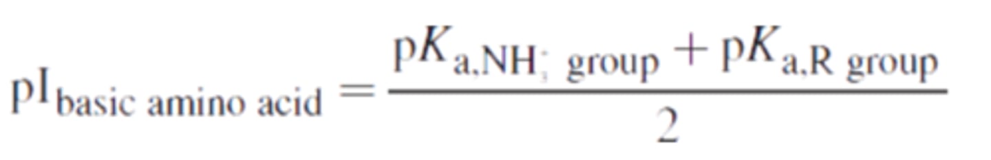 <p>Lysine, on the other hand, has two amino groups and one carboxyl group. Thus, its charge in its fully protonated state is +2, not +1. Losing the carboxyl proton, which still happens around pH 2, brings the charge down to +1. Lysine does not become electrically neutral until it loses the proton from its main amino group, which happens around pH 9. It gets a negative charge when it loses the proton on the amino group in its side chain, which happens around pH 10.5. Thus, the isoelectric point of lysine is the average of the pKa values for the amino group and side chain; the pI is around 9.75. The isoelectric point for a basic amino acid can be calculated as indicated by the image -- (9 + 10.5)/2 = 9.75.</p><p>pI point is a value between the pH when the amino acids start to get deprotonated to become zwitterions and when the pH when the amino acids start to become fully deprotonated (and AA gets neg. charge).</p>