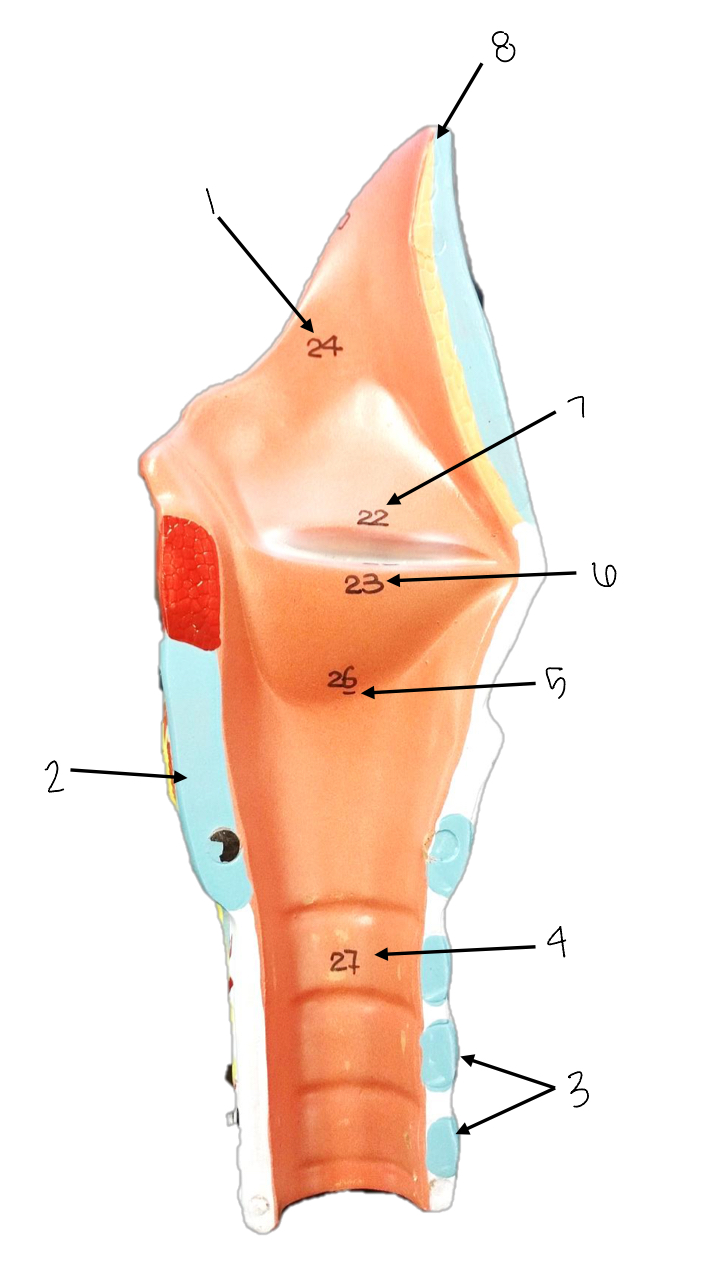 <p>what is number 4?</p>