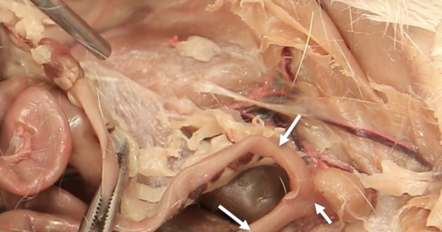 <p>What is this?</p>