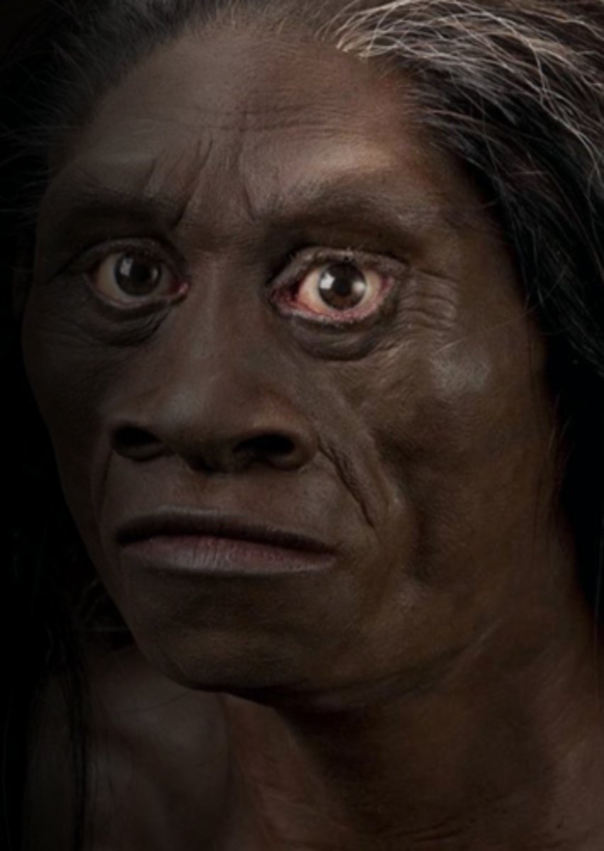 <p>Trait that develops for the first time</p>