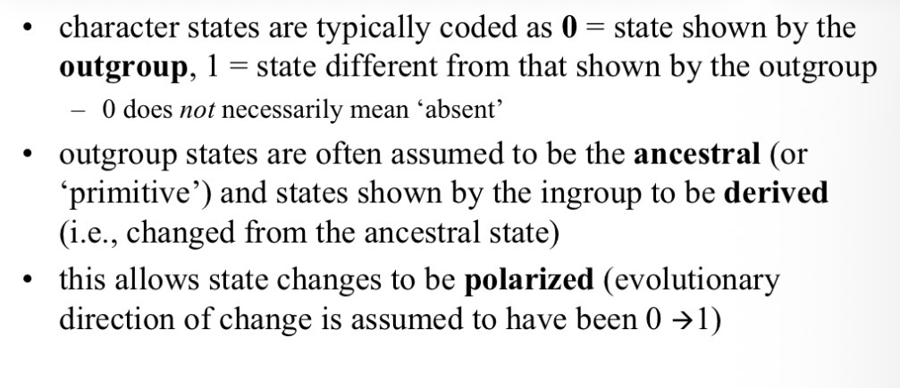 <p>In group</p><p>Outgroup</p>