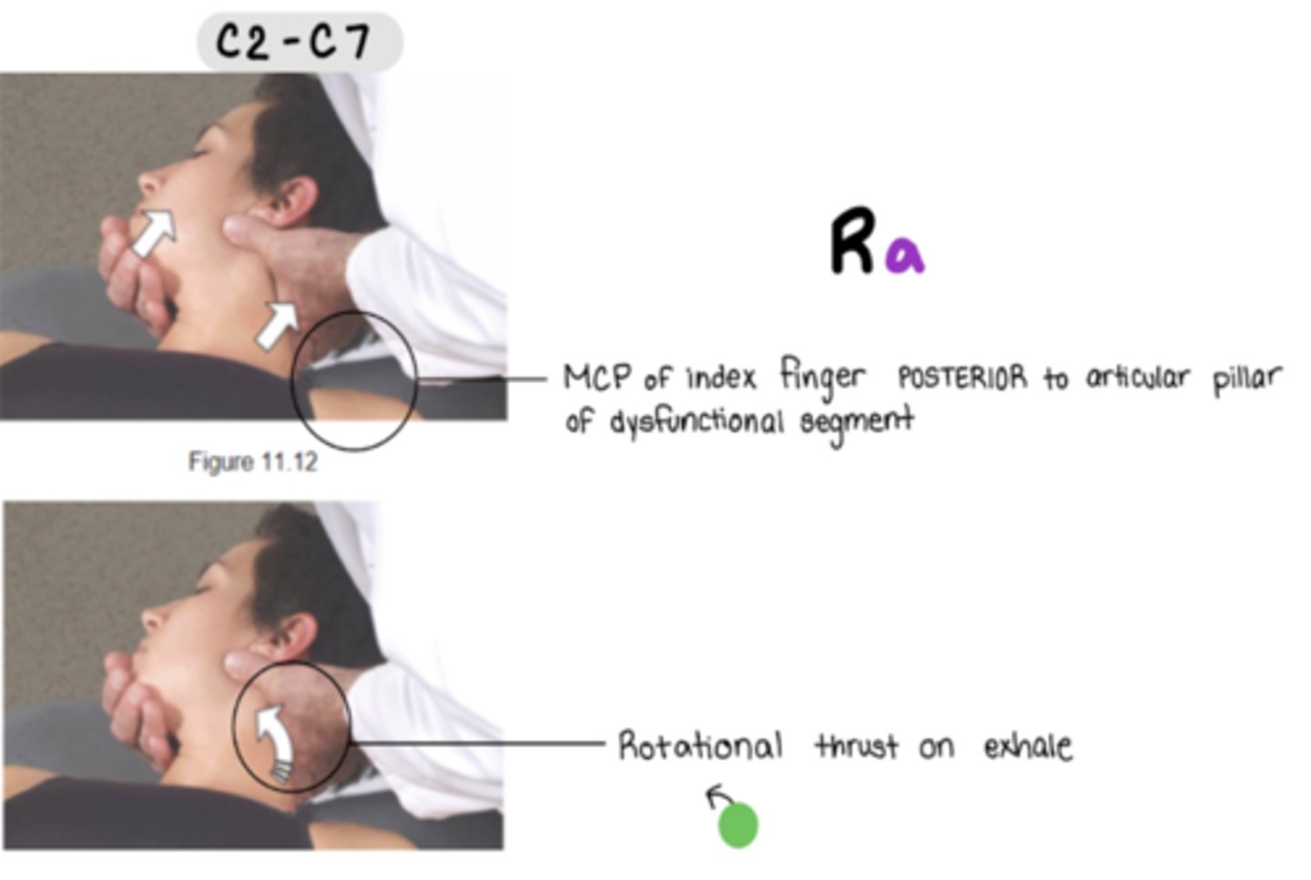 <p>stand on SAME side of dysfunctional rotation component</p><p>MCP of index finger POSTERIOR to articular pillar of dysfunctional segment</p><p>**must lock out</p>