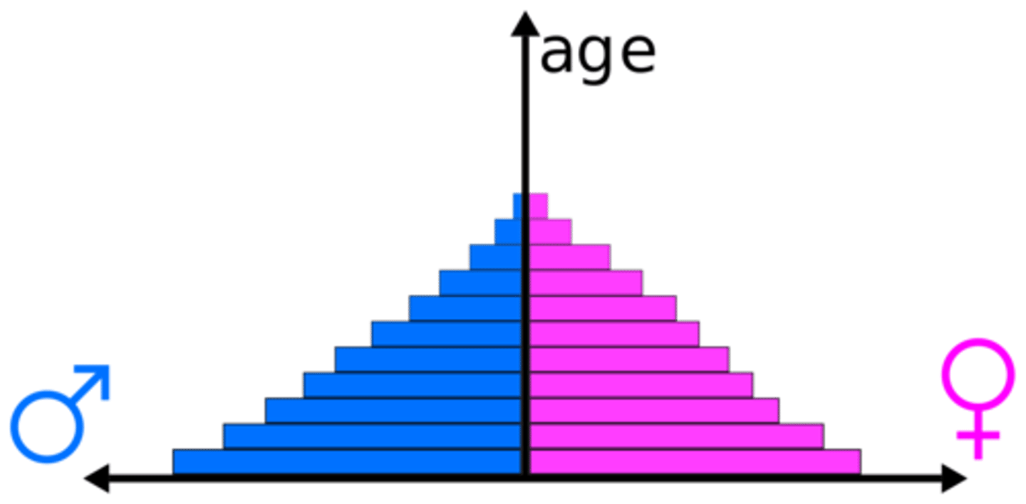 <p>- Stage 2<br>- Yemen, Afghanistan<br>- High birth, rapidly falling death<br>- Very rapid natural increase<br>- Reason (Birth Rate): Many children are needed for farming, infant mortality, and society/religion<br>- Reason (Death Rate): Improved healthcare, water supply &amp; sanitation, fewer children die.</p>