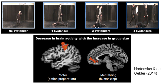 <p><span>fMRI study: larger audience → less activation in brain areas responsible for (i) preparing action &amp; (ii) mentalizing</span></p><ul><li><p>mentalizing: <span>seeing others as whole people with mental states, humanizing</span></p></li><li><p><span>less mentalizing → others become less human </span></p></li></ul>