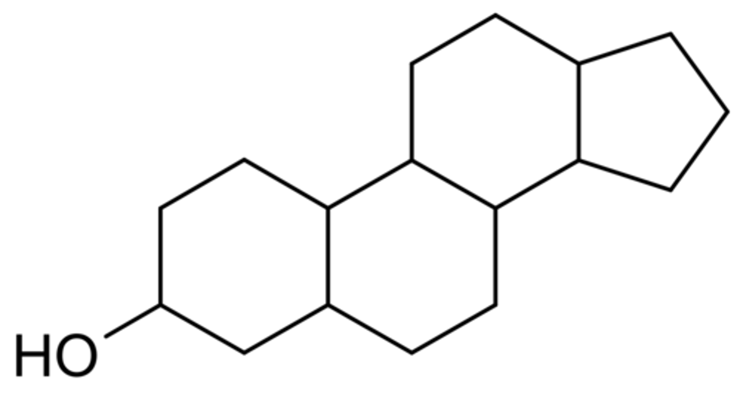<p>Lipideachtige moleculen opgebouwd uit 4 koolstofringstructuren</p><p>Bv. Cholesterol en geslachthormonen</p>