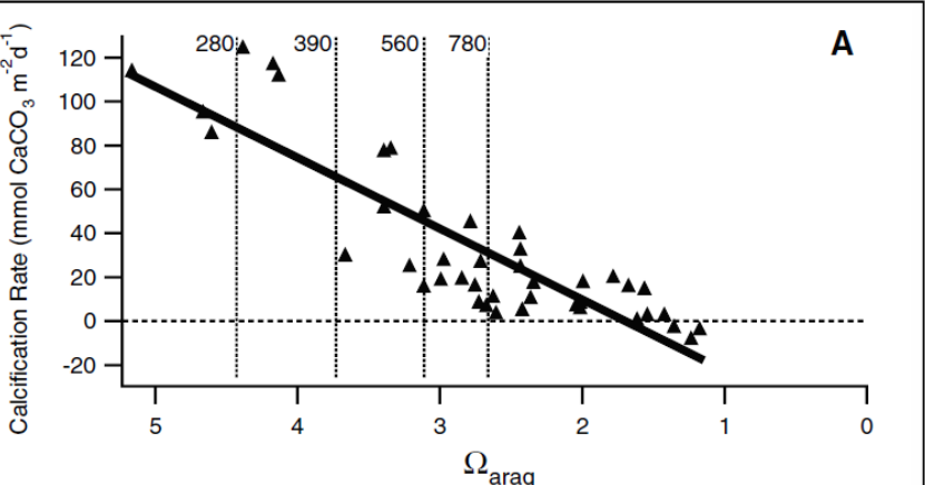 <p>How does ocean acidification reduce the ability of marine organisms to maintain or form calcium carbonate CaCO<sub>3 </sub>in their shells?</p><p><strong><u>Detail the Importance of Aragonite &amp; Calcite</u></strong></p><p></p><p><strong><u>What are some of the broader impacts of increased ocean pH on marine ecosystems?</u></strong><br><br>Why are coral reefs important?</p>