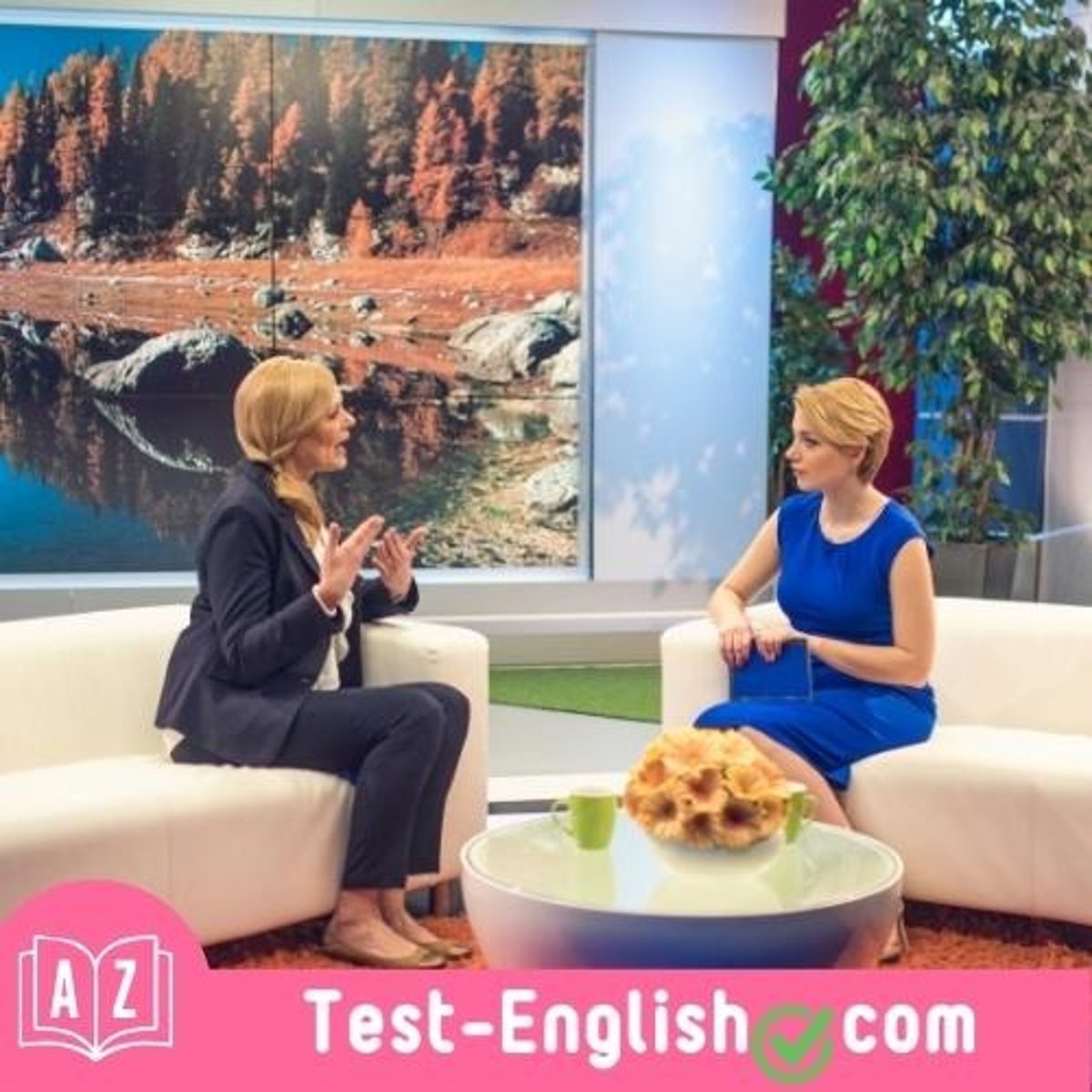 <p>One of my favourite actors was interviewed on a famous _____. (2 words)</p>