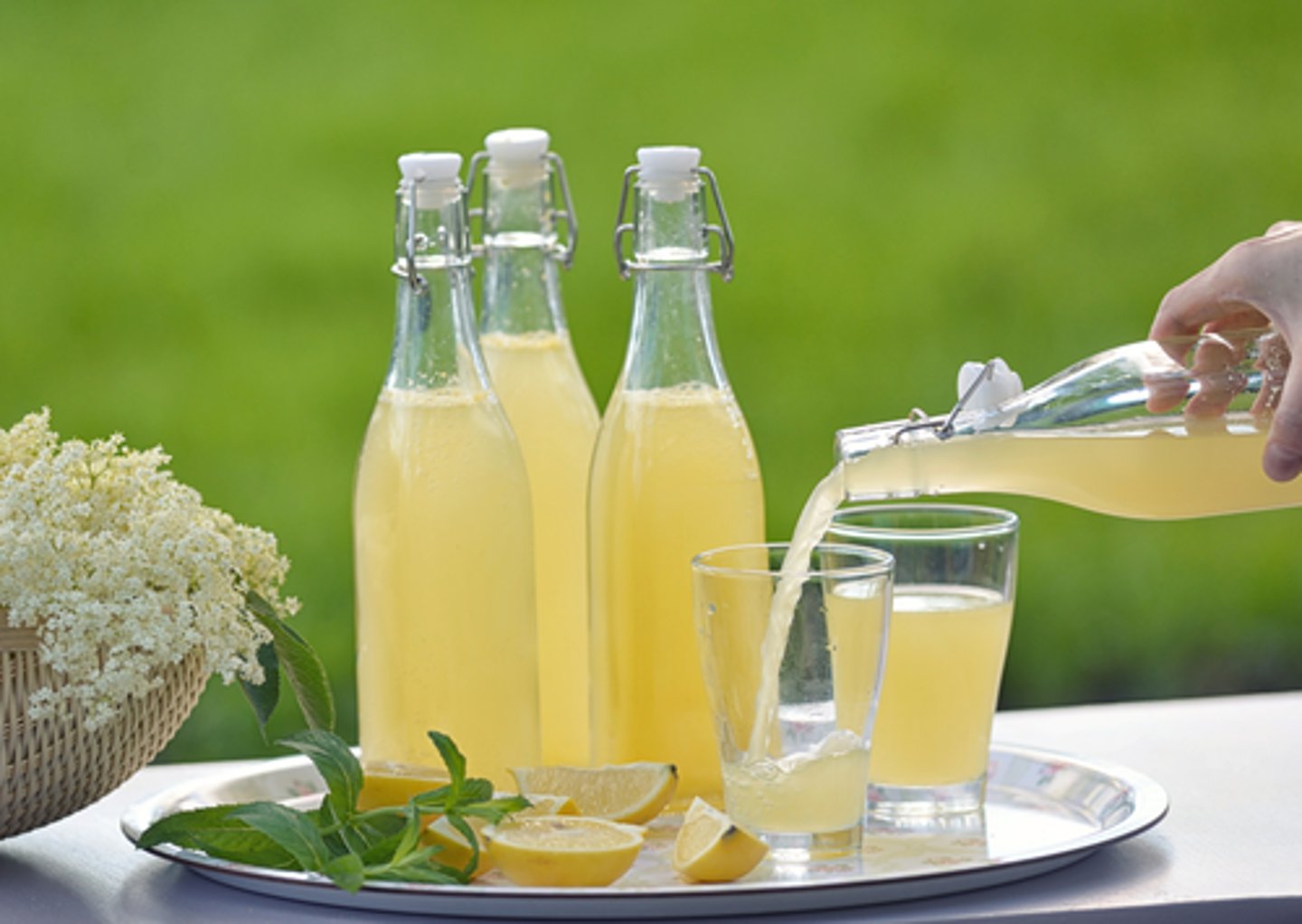 <p>to take food or drinks with you when going to a barbecue or party.</p><p>We asked everyone to _________ so we didn’t have to prepare everything ourselves — someone even brought homemade lemonade!</p>