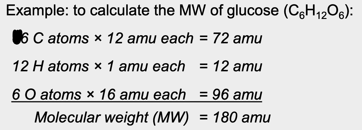 <p><strong>sum</strong> of the <strong>atomic weights</strong> of its atoms</p><p><mark data-color="#fff2b0" style="background-color: rgb(255, 242, 176); color: inherit;">*</mark><strong><mark data-color="#fff2b0" style="background-color: rgb(255, 242, 176); color: inherit;">leading # of atoms is from compound</mark></strong></p><p><strong><mark data-color="#fff2b0" style="background-color: rgb(255, 242, 176); color: inherit;">*amu # </mark></strong><mark data-color="#fff2b0" style="background-color: rgb(255, 242, 176); color: inherit;">is the </mark><strong><mark data-color="#fff2b0" style="background-color: rgb(255, 242, 176); color: inherit;">atomic mass number</mark></strong></p>