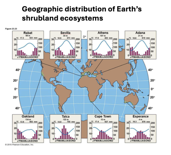 <p>hot, dry summers + cool, wet winters</p>