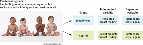 participants who are exposed to all experimental conditions except the independent variable. This enables the experimenter to make comparisons with the experimental group

ex.) while the experimental group receives the new kind of medication, the other group will take the old medication 