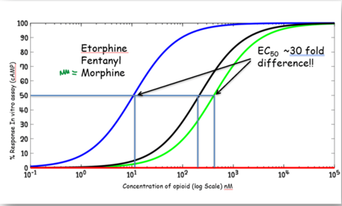 <p>Graph shows that the blue Etorphine likely has the highest affinity as it has a higher EC50 than the others.</p>