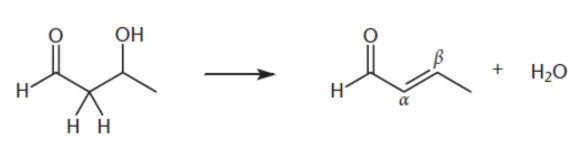 <p>E1 or E2 mechanism</p>