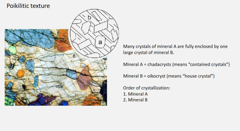 <p><strong>Poikilitic texture</strong> = a texture where <strong>small crystals are enclosed within larger “host” crystals</strong>.</p><p></p><p>Ophitic texture = special case of poikilitic texture involving plagioclase and clinopyroxene</p>