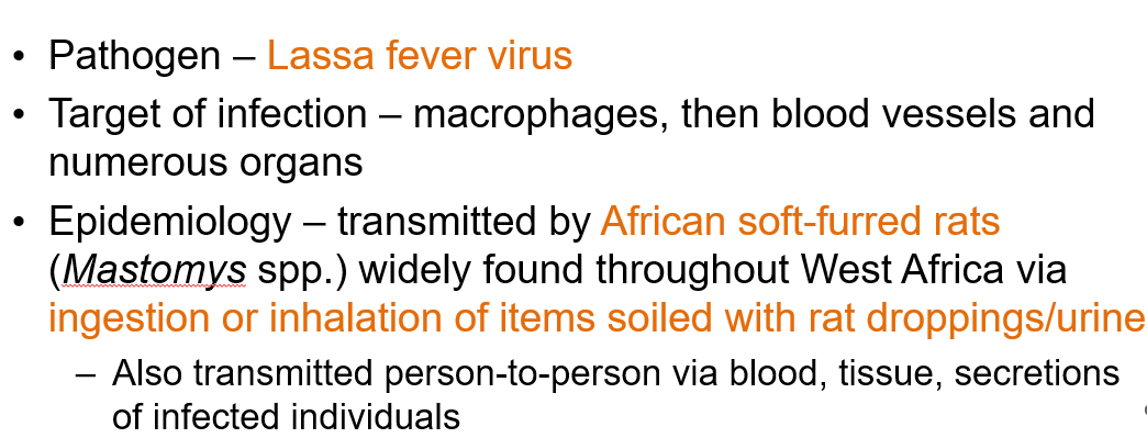 <p>How is Lassa fever <strong>transmitted?</strong></p>