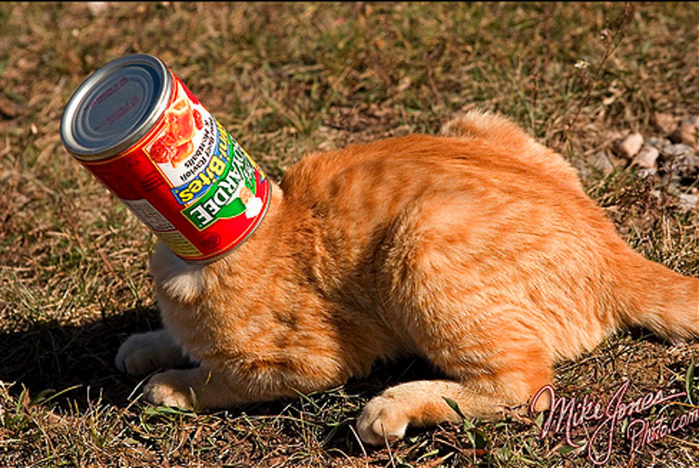 <p>a difficult situation</p>