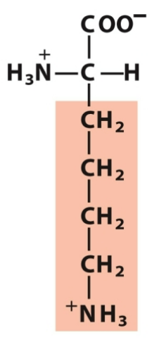 <p>Polar, positive</p>