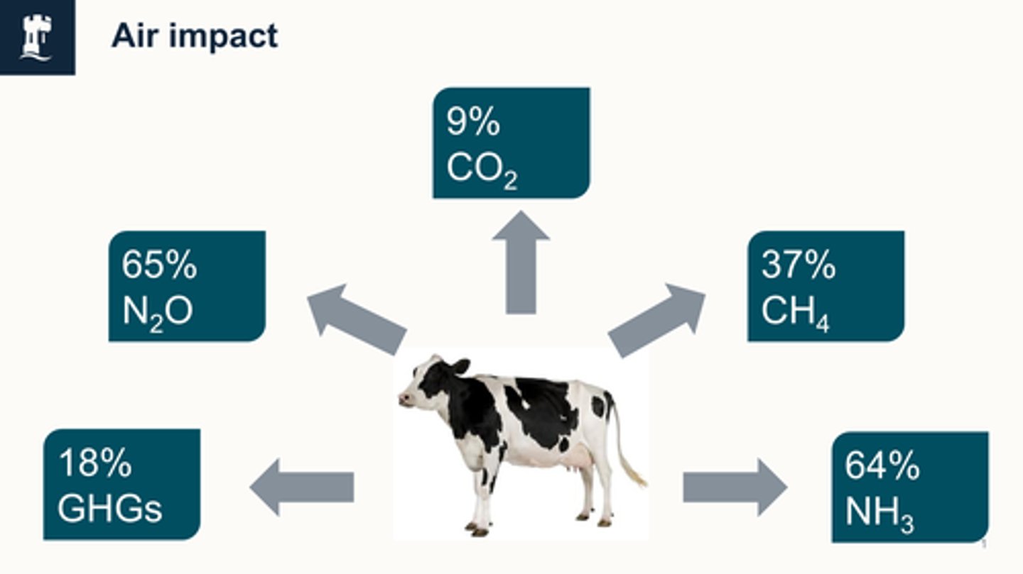 <p>Causes in increased production of greenhouse gases (GHGs)</p><p>- N2O - due to feedstock production, has a ghg potential</p><p>- CO2</p><p>- CH4</p><p>- NH3</p>