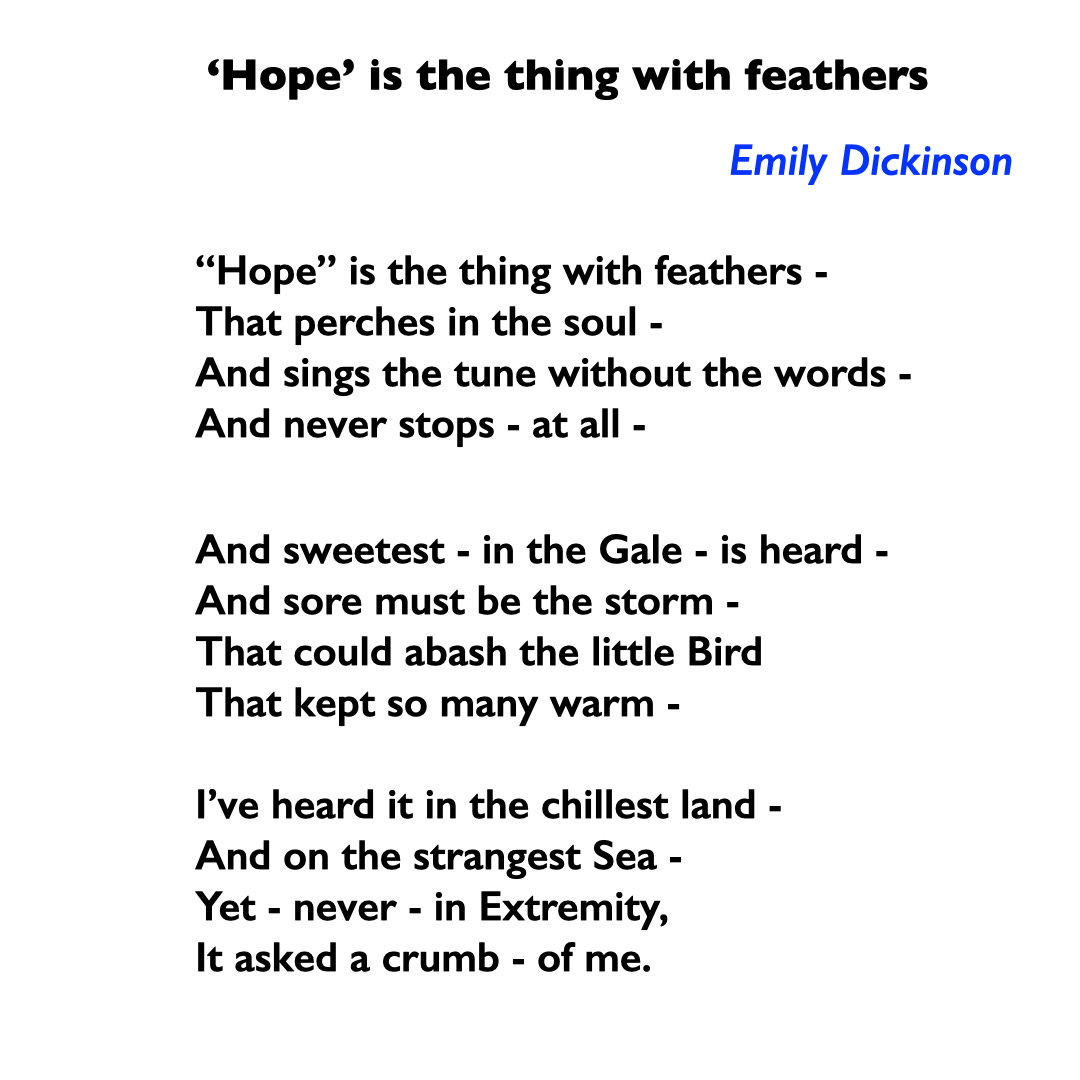 <p>In “‘Hope’ is the thing with feathers” by Emily Dickinson, Dickinson uses the metaphor of a bird to describe hope.</p>