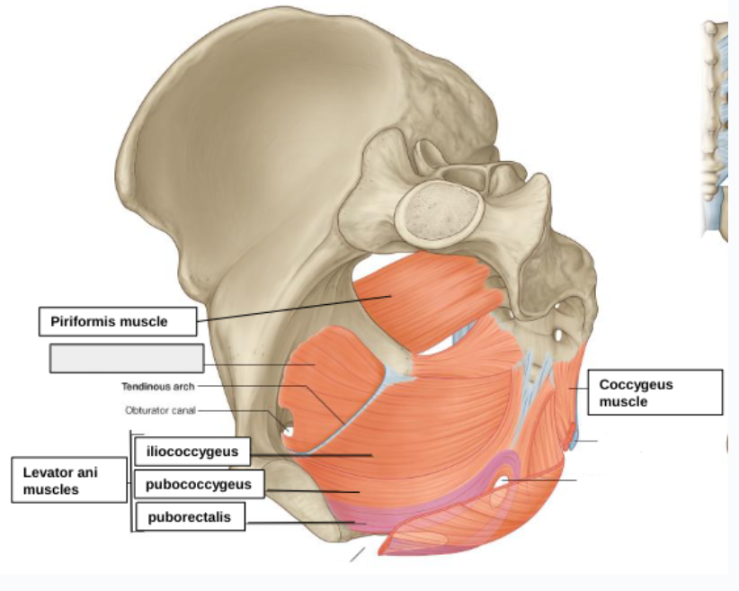 <p>what structure is that?</p>