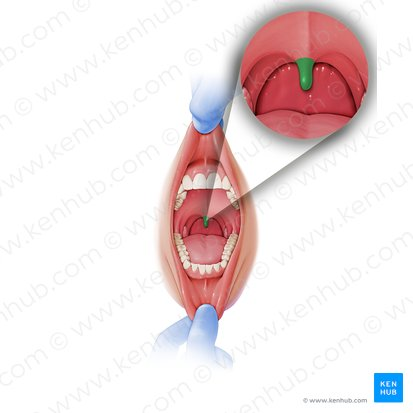 knowt flashcard image
