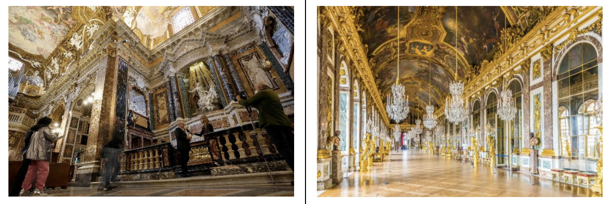 <p>identify images and COMPARE AND CONTRAST </p>