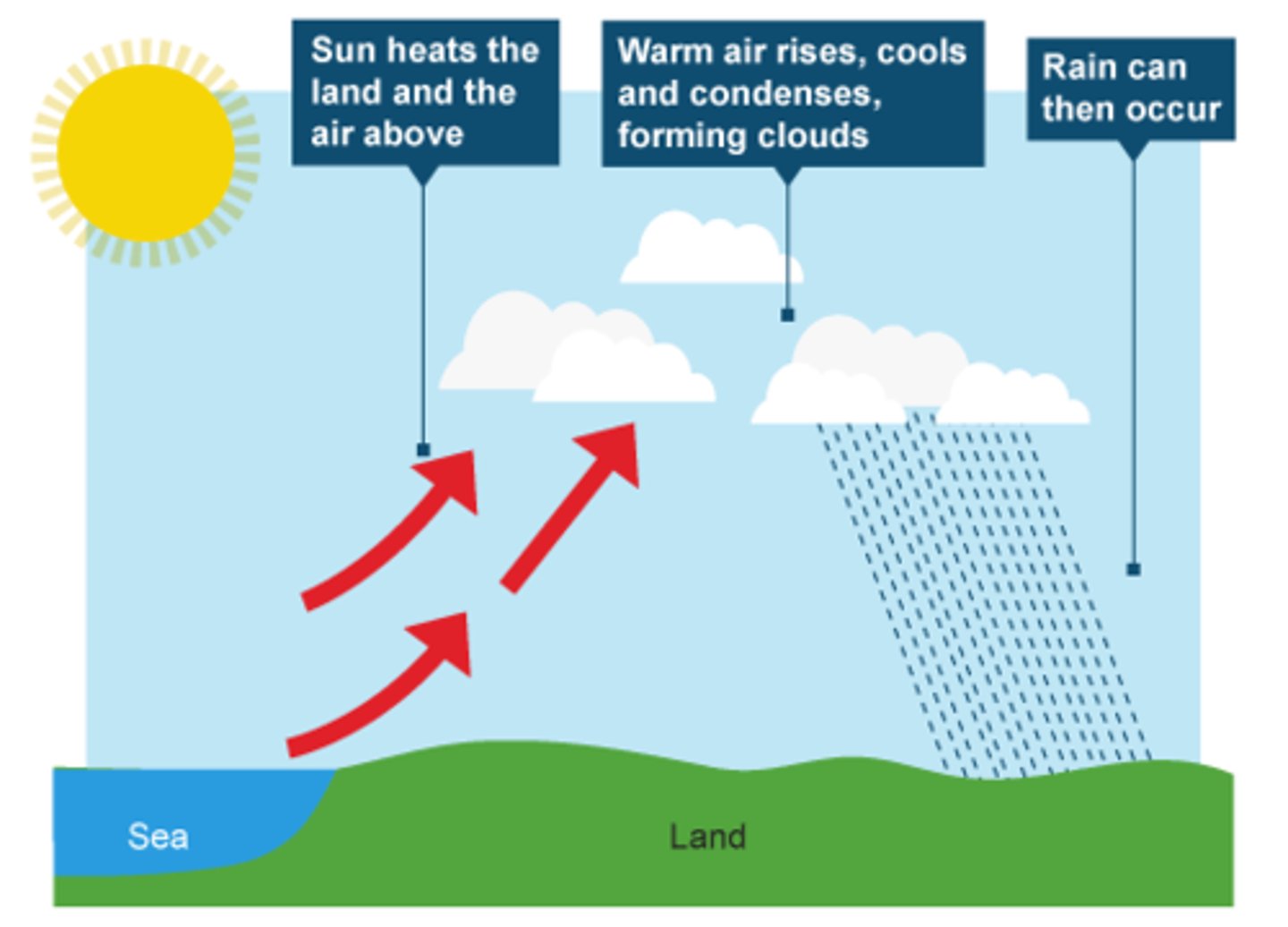 <p>Caused by the sun heating the earths surface. Warm air rises, containing water vapour which cools and condenses to form clouds</p>