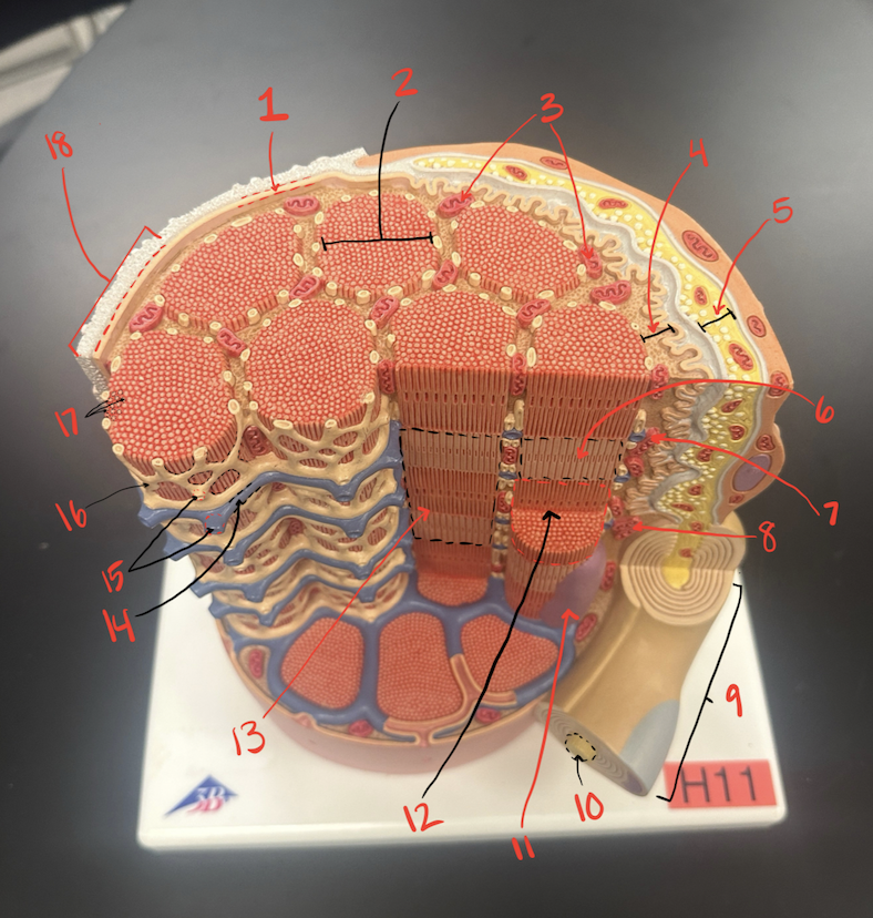 <p>7 &amp; 8 </p>